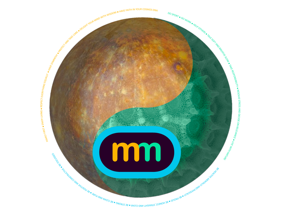 The Mangomichi philosophy circle — 21 steering elements around a yin-yang
