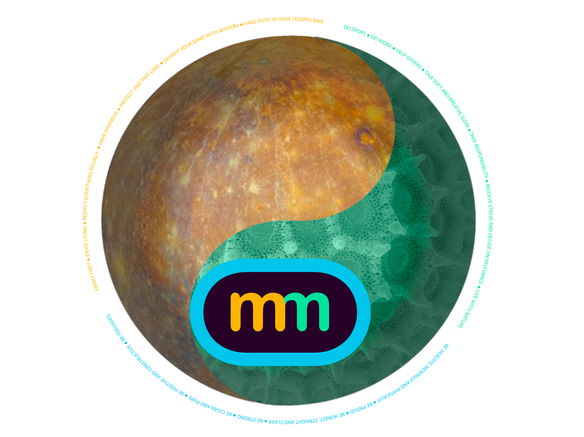 The Mangomichi philosophy circle — 21 steering elements around a yin-yang